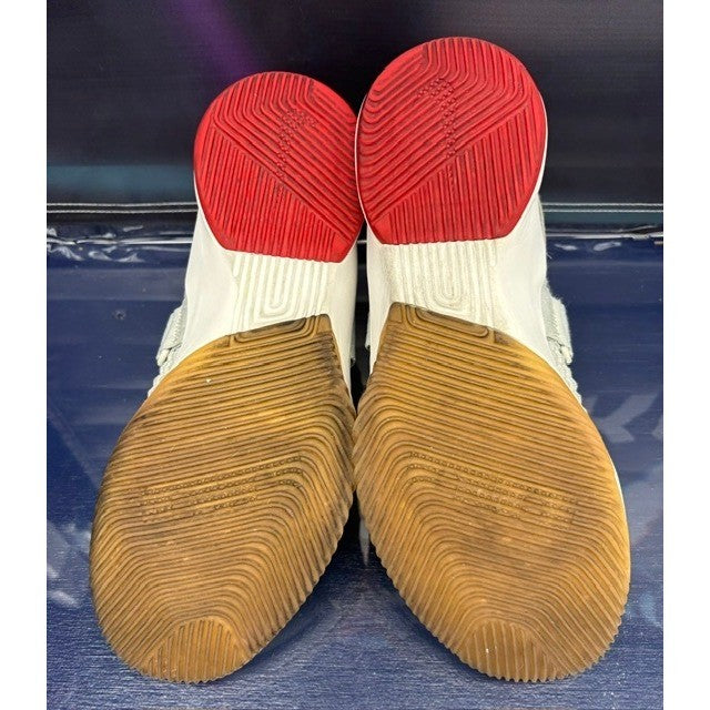 Nike LeBron Zoom Soldier 12 AU Grey Red (2018) AO2609-002 Mens sneakers size 117