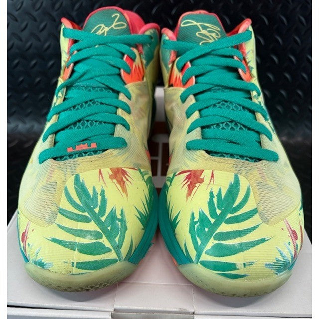 Nike LeBron 9 Low LeBronald Palmer (2022) DO9355-300 Mens sneakers size 104